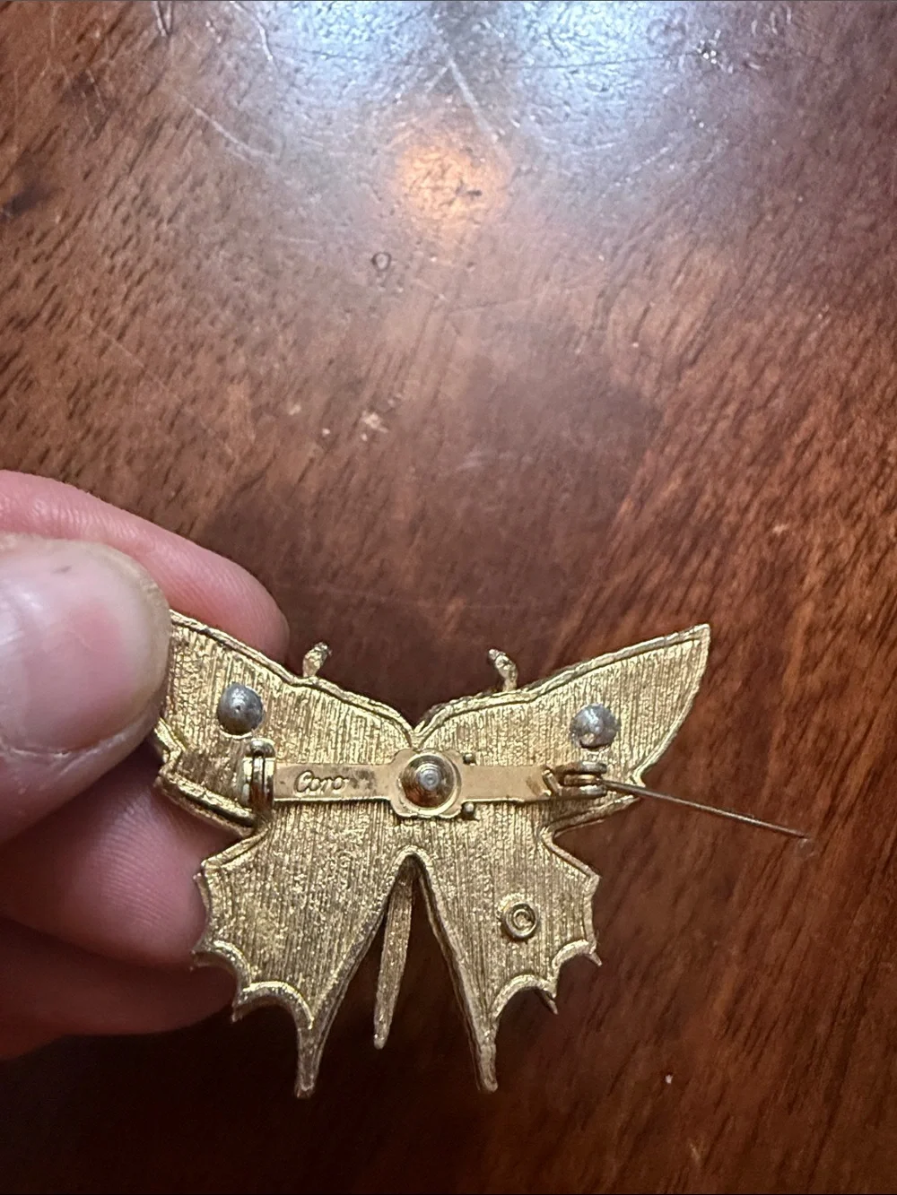 Cora Butterfly elegant butterfly